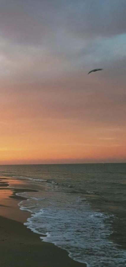Casamare Alba Adriatica Frontemare Daire Dış mekan fotoğraf